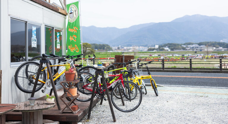 ヒメマチサイクル