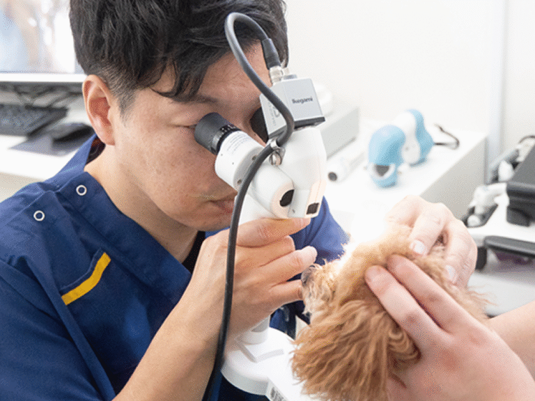 MIRU動物病院