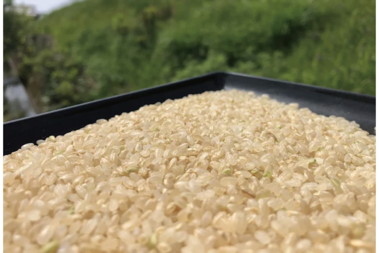 三虎食糧